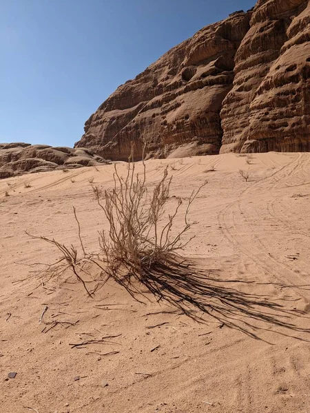 Wadi Rum Desert Jordan Red Desert Jabal Qattar Mountain Some — Stockfoto