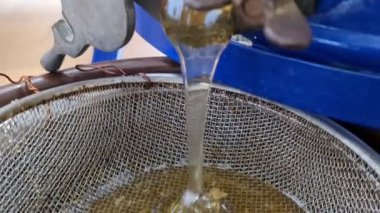 Altın bal, mevsimsel hasat sırasında doğrudan bir bal sökücüden plastik kaplara akar ve doğal üretimin zengin dokusunu gösterir..