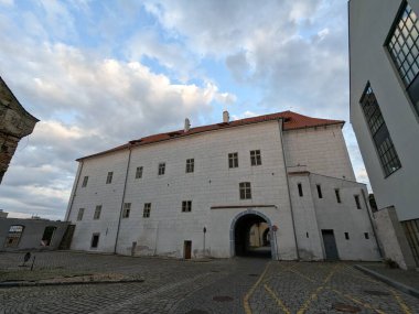 Kolin şehir meydanında çeşme ve sütun, tarihi şehir merkezi ve katedral, eski kasaba meydanı, Çek Cumhuriyeti, Avrupa