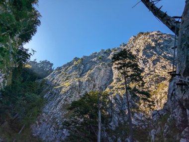 Drachenwand Klettersteig, asma köprü ve Mondsee Gölü, Avusturya, Avrupa 'da güzel manzara, ferratalar ve yola tırmanırken görülen panoramayla