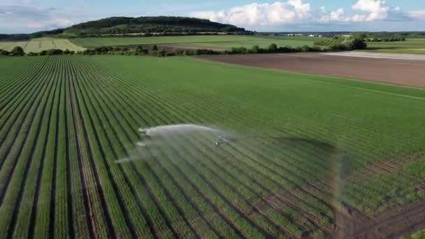 Sequías Europa Sistemas Riego Por Aspersión Agua Campo Agrícola Con — Vídeos de Stock