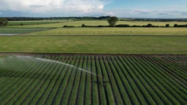 Посухи Європі Системи Зрошення Спринклерної Води Сільськогосподарське Поле Системами Іригації — стокове відео