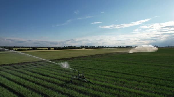 Sequías Europa Sistemas Riego Por Aspersión Agua Campo Agrícola Con — Vídeo de stock
