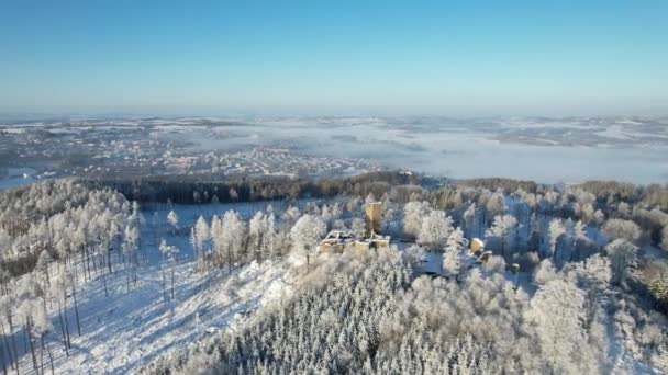 奥立克城堡冬季空中俯瞰全景 历史上中世纪哥特式城堡的废墟深植于森林深处 由捷克 城堡塔楼和雪白的树木间穿梭而过 — 图库视频影像