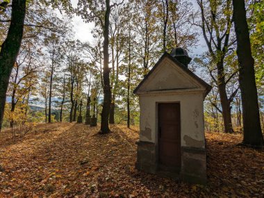 Kare, sütun ve katedrali, Polna kalesi ve kiliseleri, panorama manzara manzarası, Çek Cumhuriyeti, Avrupa