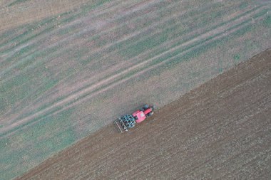 Tarım tarlasında ekin eken traktörlü bir çiftçi. Bitkiler, buğday. Tarımsal ekinlerle dolu bir tarlada toprak gevşemesi, havadan çekim. Traktör toprağı işliyor. İnsansız hava aracı görüntüsü. Tarım. 