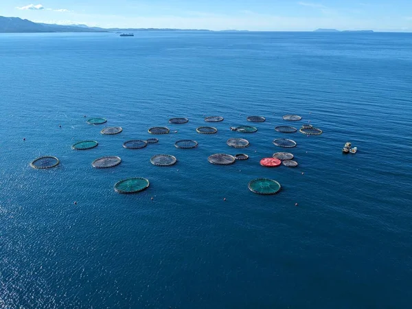 aerial view of a fish farm off the coast in the blue, mediterranean sea in Albania during sunset time,panorama landscape view of Albanian coastline-fishing industry business -aquaculture farm fishing