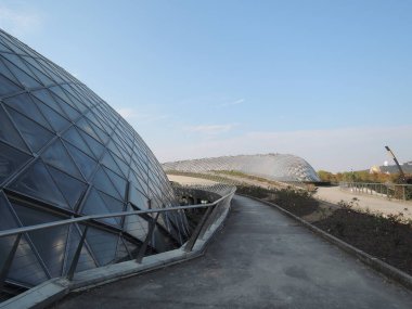 Xiamen, Çin 6 Mayıs 2025: Xiamen Botanik Bahçesi, çeşitli bitki türleri ve manzaralı geniş bir yeşil alan.