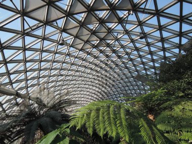 Xiamen, Çin 6 Mayıs 2025: Xiamen Botanik Bahçesi, çeşitli bitki türleri ve manzaralı geniş bir yeşil alan.