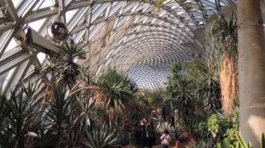 Xiamen 'deki botanik bahçesinin panoramik görüntüsü, bereketli tropikal bitki örtüsü, yürüyüş yolları, seralar ve çevreleyen şehir manzarası sergileniyor..