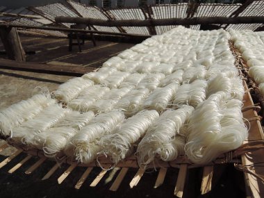 Güneydoğu Asya 'da geleneksel pirinç eriştesi üretimi, vietnam, pirinç unundan elde yapılan erişte, bambu yapımları, lezzetli yerel yiyecekler, sokakta güneşte kurutulmaktan daha iyidir.