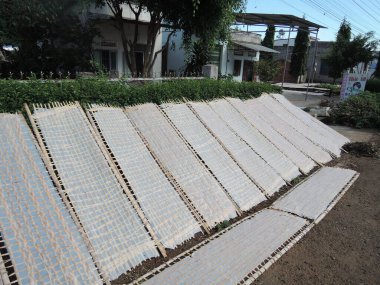 Güneydoğu Asya 'da geleneksel pirinç eriştesi üretimi, vietnam, pirinç unundan elde yapılan erişte, bambu yapımları, lezzetli yerel yiyecekler, sokakta güneşte kurutulmaktan daha iyidir.