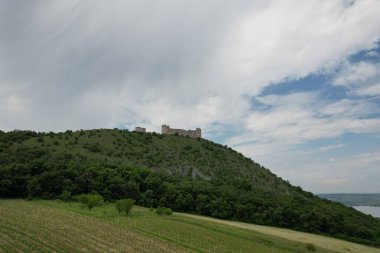 Şato Devicky, Palava, Moravya bölgesi, Pavlovske vrchy, Çek Cumhuriyeti, Palava aralığı, üzüm bağları, CHKO Palava, Korunan Peyzaj Bölgesi (Chrnn Krajinn oblast Plava))