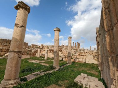 Jerash, Ürdün-28 Şubat 2023: Jerash şehrinde antik Roma yapıları, Gerasa, Ürdün, hipodrom, amfiteateatr, antik Roma medeniyetinin kumdan ve mermer taştan yapılmış tiyatro ve sütunları, Jarash