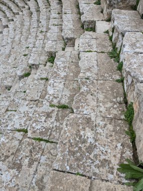 Jerash, Ürdün-28 Şubat 2023: Jerash şehrinde antik Roma yapıları, Gerasa, Ürdün, hipodrom, amfiteateatr, antik Roma medeniyetinin kumdan ve mermer taştan yapılmış tiyatro ve sütunları, Jarash