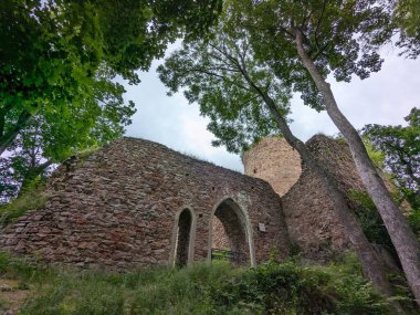 Valdek, Çek Cumhuriyeti - 23 Temmuz 2023 Valdek Ortaçağ Çek Kalesi kalıntıları derin ormanlarda kale kulesi