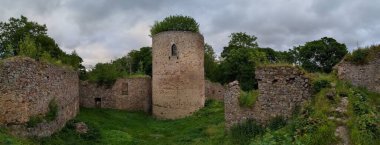 Valdek, Çek Cumhuriyeti - 23 Temmuz 2023 Valdek Ortaçağ Çek Kalesi kalıntıları derin ormanlarda kale kulesi
