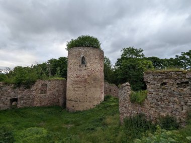 Valdek, Çek Cumhuriyeti - 23 Temmuz 2023 Valdek Ortaçağ Çek Kalesi kalıntıları derin ormanlarda kale kulesi