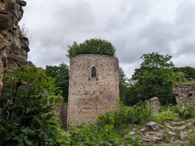 Valdek, Çek Cumhuriyeti - 23 Temmuz 2023 Valdek Ortaçağ Çek Kalesi kalıntıları derin ormanlarda kale kulesi