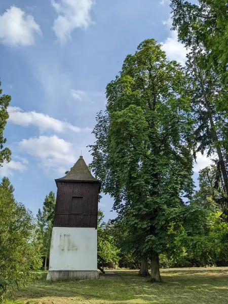 Podebrady tarihi şehir ve Labe Nehri Kalesi, Chateau Podbrady (Zmek Podbrady) Çek Cumhuriyeti, manzaralı hava manzarası manzarası
