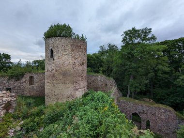 Valdek, Çek Cumhuriyeti - 23 Temmuz 2023 Valdek Ortaçağ Çek Kalesi kalıntıları derin ormanlarda kale kulesi