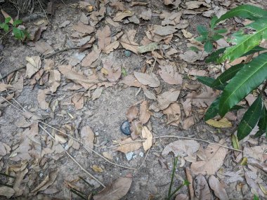 Patlamamış mayınlar ve misket bombaları savaştan sonra Kamboçya 'nın dört bir yanında toplandı, şimdi Siem Reap Kamboçya' daki Kara Mayınları Müzesi 'nde büyük miktarda cephane hala kırsalda duruyor.