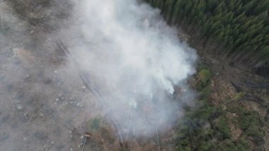 Vysoina, Çek Cumhuriyeti, Avrupa 'daki ormanlarda orman yangınları ve dumanlar, Higlands' taki kabuk böceği felaketleri, hava manzarası manzarası, ormansızlaşma
