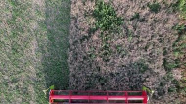 Günbatımında bir tarlada altın buğday kesen çoklu hasatçıların yukarıdan aşağıya hava görüntüsü kırsal alanda paralel çizgiler oluşturuyor..