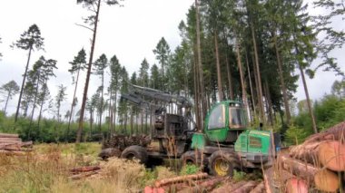 Prag, Çek Cumhuriyeti - 26 Ağustos 2023: Hasatçı ormanda çalışıyor. Tahta hasatı. Yenilenebilir enerji kaynağı olarak ahşap. Tarım ve ormancılık. Kabuk böceği felaketi, Avrupa 'da ormanların tahrip edilmesi.