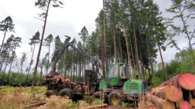 Prag, Çek Cumhuriyeti - 26 Ağustos 2023: Hasatçı ormanda çalışıyor. Tahta hasatı. Yenilenebilir enerji kaynağı olarak ahşap. Tarım ve ormancılık. Kabuk böceği felaketi, Avrupa 'da ormanların tahrip edilmesi.