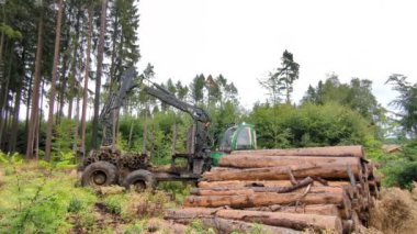 Prag, Çek Cumhuriyeti - 26 Ağustos 2023: Hasatçı ormanda çalışıyor. Tahta hasatı. Yenilenebilir enerji kaynağı olarak ahşap. Tarım ve ormancılık. Kabuk böceği felaketi, Avrupa 'da ormanların tahrip edilmesi.