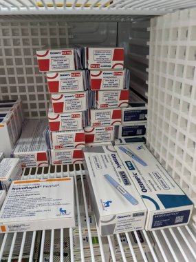 Prag, Çek Cumhuriyeti-4 Ocak 2024: Ozempic kutusu. Ozempik ilacın Çek versiyonu. AB 'de diyabet tedavisi. Bir paket semaglutid. Diyabet ilacı. Bazen kilo vermek için kullanılıyor. Danimarkalı Novo Nordisk yapımcısı.
