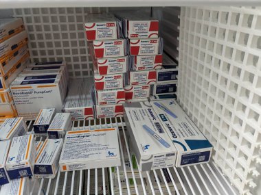 Prag, Çek Cumhuriyeti-4 Ocak 2024: Ozempic kutusu. Ozempik ilacın Çek versiyonu. AB 'de diyabet tedavisi. Bir paket semaglutid. Diyabet ilacı. Bazen kilo vermek için kullanılıyor. Danimarkalı Novo Nordisk yapımcısı.