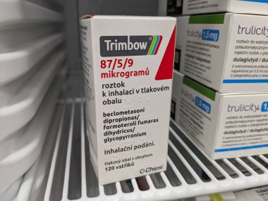 Prag, Çek Cumhuriyeti - 10 Temmuz 2024: BECLOMETASone, FormoTEROL ve GLYCOPYRONIUM tarafından COPD ve astım tedavisinde kullanılan aktif maddeler.