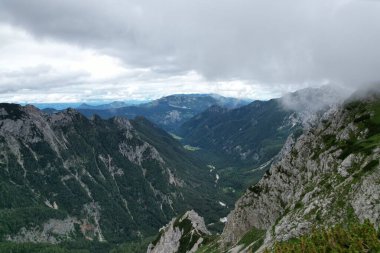 Slovenya 'daki Logarska Dolina' nın nefes kesen Alp Vadisi, yemyeşil yemyeşil manzarası ve Kamnik-Savinja Alpleri 'nin dingin güzelliği sergileniyor.