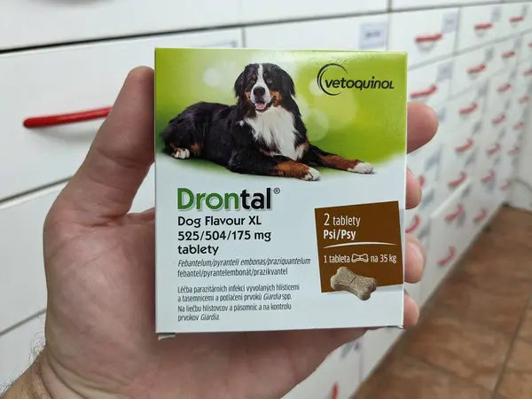 stock image Prague, Czech Republic - July 13, 2024: DRONTAL tablets with PRAZIQUANTEL and PYRANTEL active substances by BAYER, used for deworming pets.