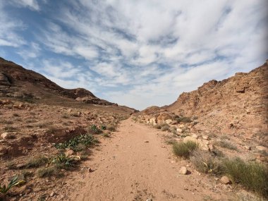 Ürdün Patikası Ramazan boyunca çölde kuzeyden güneye yürüyor. Çölde ve kayalık dağlarda yürüyüş yapmak, Arap dünyalarını deneyimlemek engebeli araziler. Uzun mesafe yürüyüş yolları.