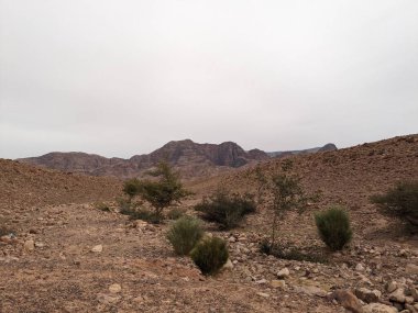 Ürdün Patikası Ramazan boyunca çölde kuzeyden güneye yürüyor. Çölde ve kayalık dağlarda yürüyüş yapmak, Arap dünyalarını deneyimlemek engebeli araziler. Uzun mesafe yürüyüş yolları.