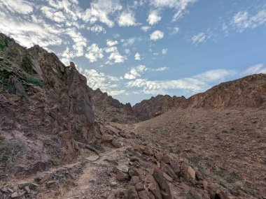 Ürdün Patikası Ramazan boyunca çölde kuzeyden güneye yürüyor. Çölde ve kayalık dağlarda yürüyüş yapmak, Arap dünyalarını deneyimlemek engebeli araziler. Uzun mesafe yürüyüş yolları.