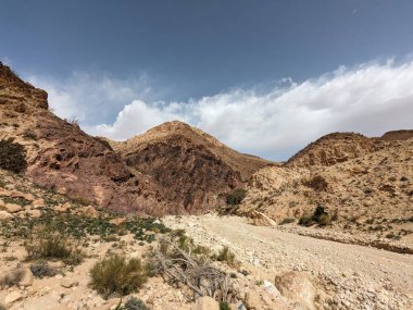 Ürdün Patikası Ramazan boyunca çölde kuzeyden güneye yürüyor. Çölde ve kayalık dağlarda yürüyüş yapmak, Arap dünyalarını deneyimlemek engebeli araziler. Uzun mesafe yürüyüş yolları.