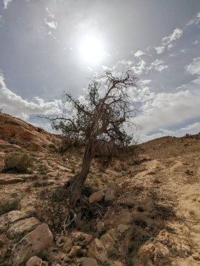 Ürdün Patikası Ramazan boyunca çölde kuzeyden güneye yürüyor. Çölde ve kayalık dağlarda yürüyüş yapmak, Arap dünyalarını deneyimlemek engebeli araziler. Uzun mesafe yürüyüş yolları.
