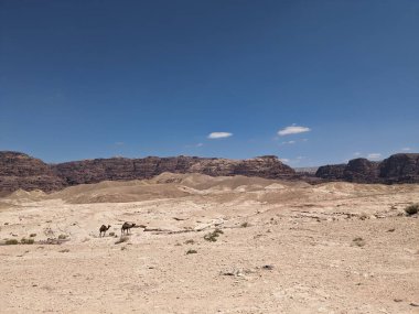 Ürdün Patikası Ramazan boyunca çölde kuzeyden güneye yürüyor. Çölde ve kayalık dağlarda yürüyüş yapmak, Arap dünyalarını deneyimlemek engebeli araziler. Uzun mesafe yürüyüş yolları.