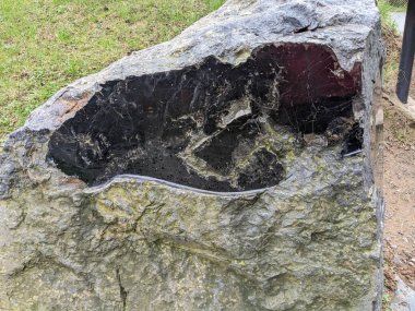 Prag, Çek Cumhuriyeti-9 Ekim 2024: Stromatolitler sığ sulardaki siyanobakteri ve diğer mikroorganizmalar tarafından oluşturulmuş kaya benzeri yapılardır. Bu antik fosiller, Dünya 'nın ilk ekosistemleri hakkında bilgi sağlıyor..