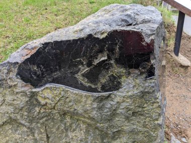 Prag, Çek Cumhuriyeti-9 Ekim 2024: Stromatolitler sığ sulardaki siyanobakteri ve diğer mikroorganizmalar tarafından oluşturulmuş kaya benzeri yapılardır. Bu antik fosiller, Dünya 'nın ilk ekosistemleri hakkında bilgi sağlıyor..