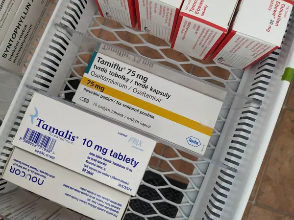 Prag, Çek Cumhuriyeti - 8 Kasım 2024: TAMIFLU ilacı. Tamiflu, aktif madde Oseltamivirum, Oseltamivir, Çek Cumhuriyeti 'nde Roche antivirotik meme. Uyuşturucu paketi.