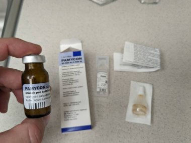 Prag, Çek Cumhuriyeti - 4 Kasım 2024: PAMYCON merhem kutusu NEOMYCIN ve BACITRACIN aktif maddeleri ile GALENA, topikal bakteriyel enfeksiyon tedavisi için kullanılır.