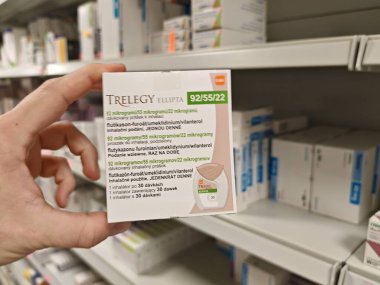 Prag, Çek Cumhuriyeti - 28 Ağustos 2024: FLUTICASone, UMECLIDINIUM ve GSK tarafından kullanılan ve astım ve COPD yönetimi için kullanılan VILANTEROL aktif maddeler.