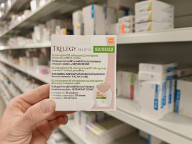 Prag, Çek Cumhuriyeti - 28 Ağustos 2024: FLUTICASone, UMECLIDINIUM ve GSK tarafından kullanılan ve astım ve COPD yönetimi için kullanılan VILANTEROL aktif maddeler.