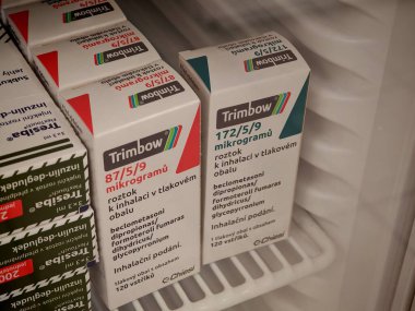 Prag, Çek Cumhuriyeti - 10 Temmuz 2024: BECLOMETASone, FormoTEROL ve GLYCOPYRONIUM tarafından COPD ve astım tedavisinde kullanılan aktif maddeler.