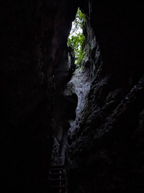 Deep narrow Pokljuka Gorge in Slovenia surrounded by steep cliffs, dense forest, and hiking trails.